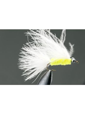 Cats Whisker