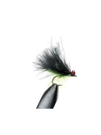 Krystal Cat Black & Chartreuse
