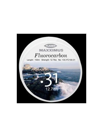 Fluorocarbon line billig 100 meter spole