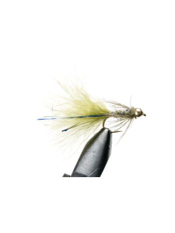 Goldhead Blue Flash Damsel