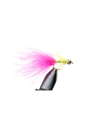 Goldhead Pink Dancer