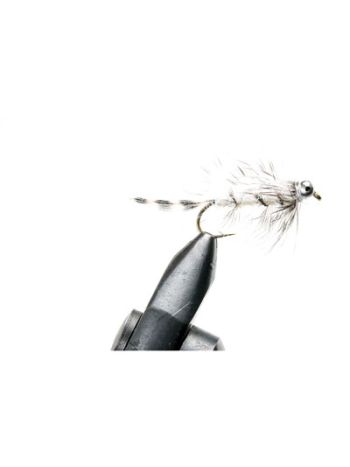 Magnus