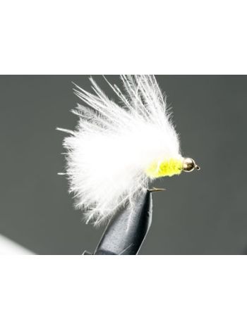 Mini Goldhead Cats Whiskers