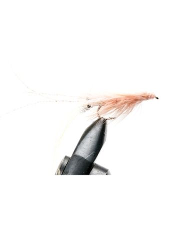 Pattegrisen pink