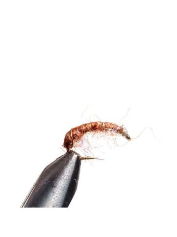 Tangloppen Brown size 8