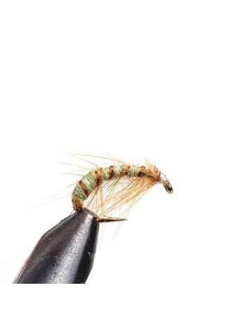 Tangloppen Olive
