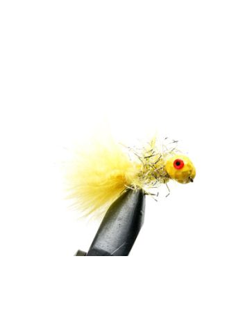 Yellow Synergy Booby