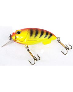 ECO Narrow Gul bug og side med sorte tigerstriber orange ryg