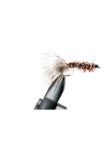 Børsteorm Brown