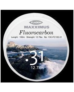 Fluorocarbon line billig 100 meter spole