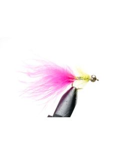Goldhead Pink Dancer