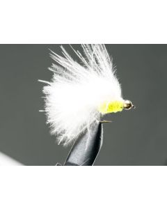 Mini Goldhead Cats Whiskers