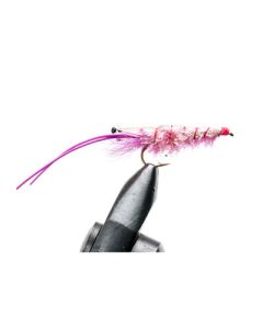 Pink Glimmer Shrimp