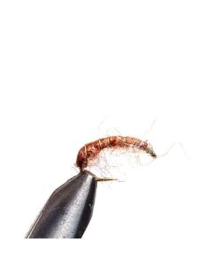 Tangloppen Brown size 8